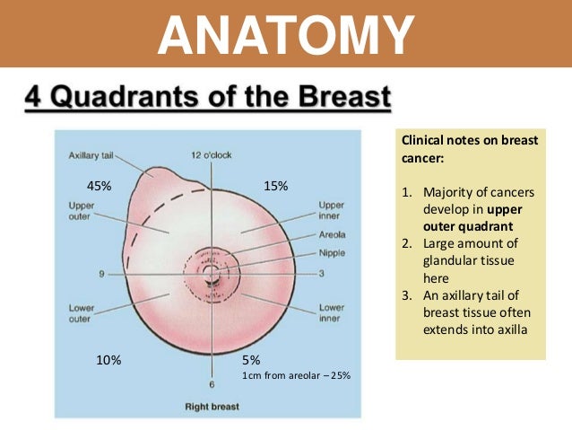 malignant breast diseases Teach me to fist